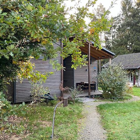 Modernes Tinyhouse Trailer Cabins Am Waldrand - Mit Seezugang Eging Eksteriør billede